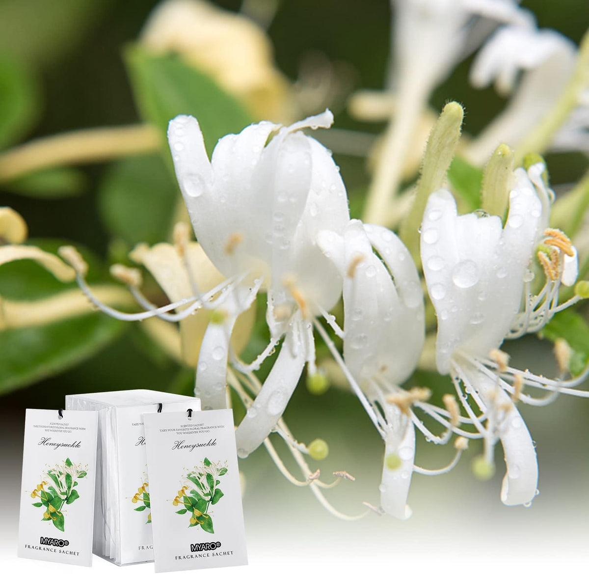 MYARO 12 Packs Honeysuckle Scented Sachets for Drawer and Closet, Long-Lasting Sachets Bags Air Freshener, Fresh Scents Potpourri Bags Home Fragrance for Lover