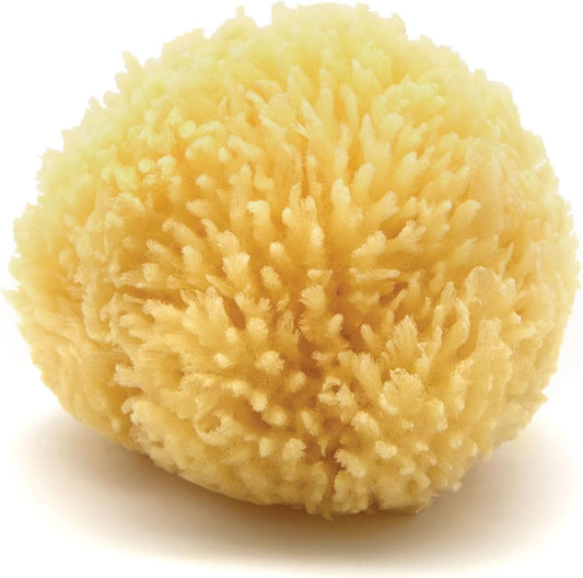 Neptune Caribbean Sea Sponge, Hand Cut, Small, Approx. 4-5 inches