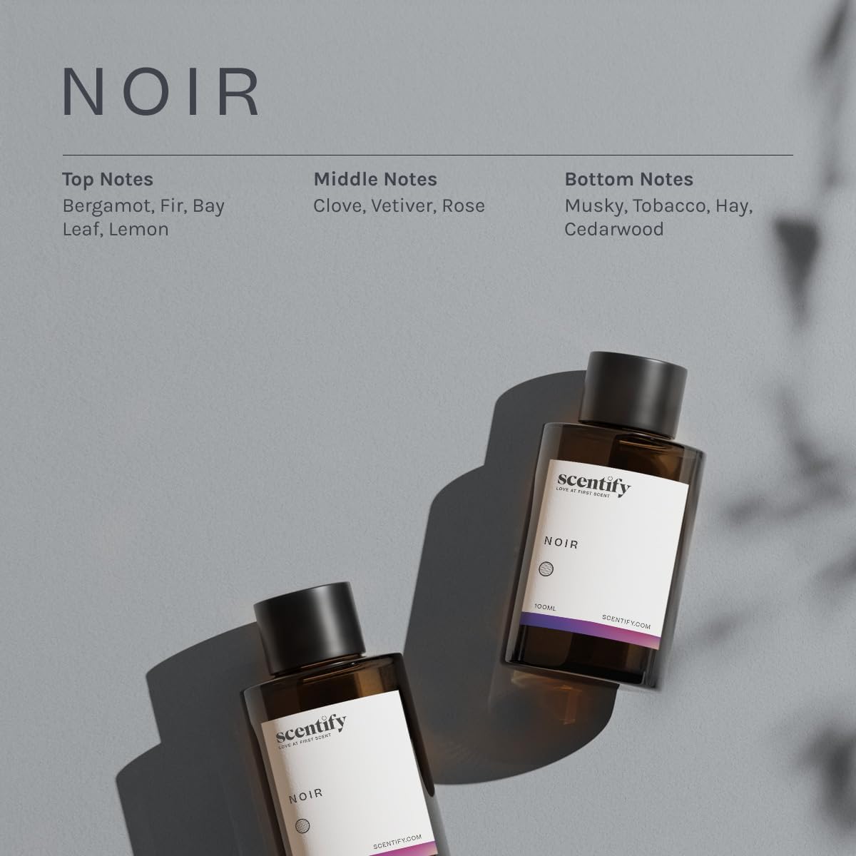 Scentify Noir Aroma Oil Refill Scent for Oil Diffusers - Bergamot, Bay Leaf, Vetiver, Cedar, Musk Scents - Luxurious Relaxing Aromatherapy Diffuser Fragrance 100ml, 3.38 oz