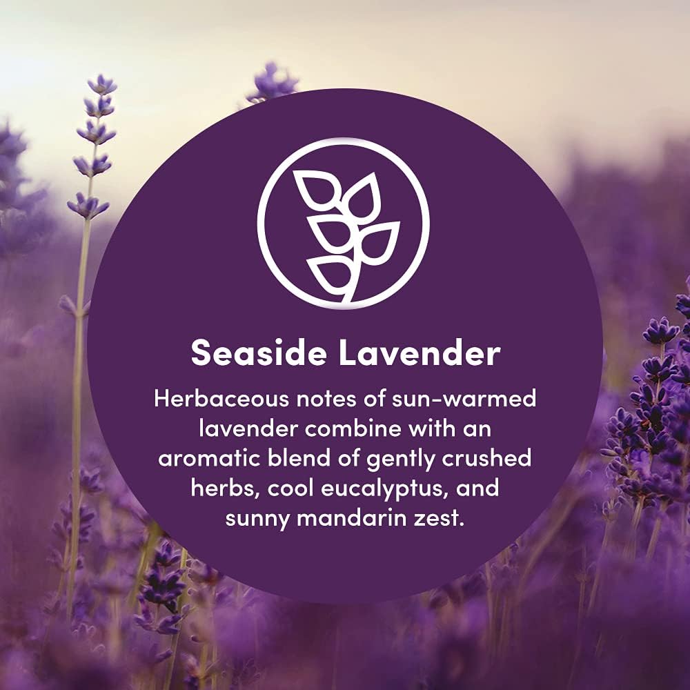 Clean Revolution Multi Surface Cleaner Refill Supply, Non-Toxic, Eco-Friendly & Plant-Based, Ready to Use, Seaside Lavender, 128 Fl Oz (1 Gallon)