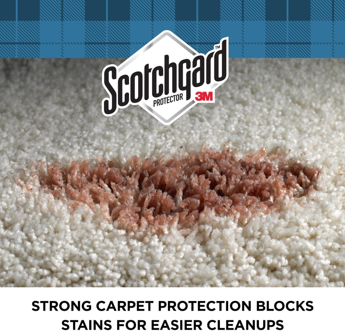 Scotchgard Rug & Carpet Protector, Carpet & Rug Protector Blocks Stains During Spring and Summer Gatherings, Fabric Protector Makes Cleanup of Stains from Muddy Footprints Easier, 14 oz(Pack of 6)