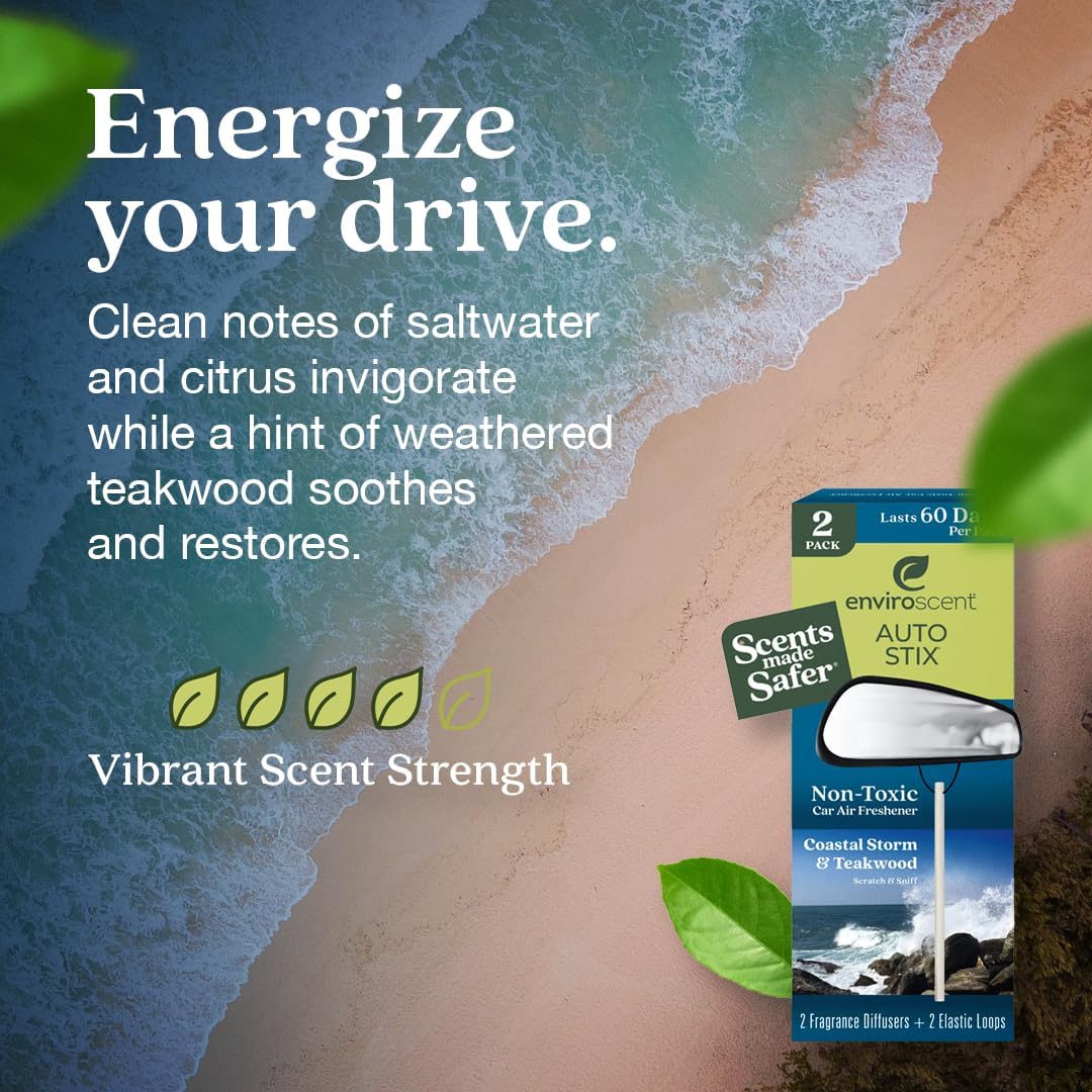 Enviroscent Non-Toxic Car Air Freshener (Coastal Storm & Teakwood) Natural Car Air Freshener | Essential Oil Diffuser | Car Scent Lasting Over 180 Days | 3 Packs of 2 Hanging Auto Stix