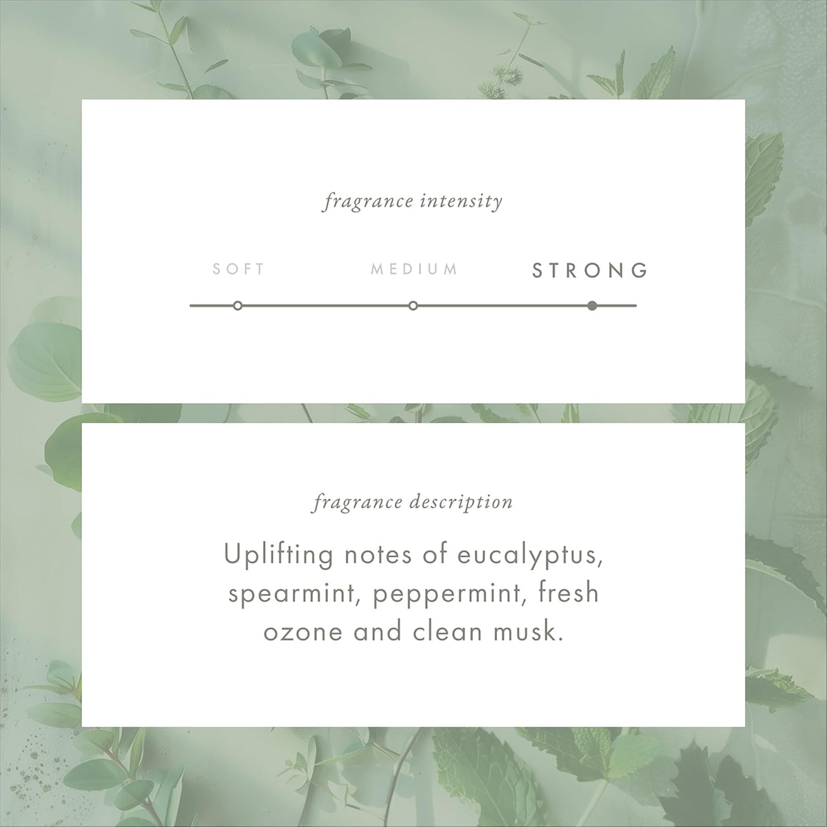 ScentAir Whisper Home Monthly Plug-in Refill, Fragrance Cartridge for Home and Office, Eucalyptus Mint