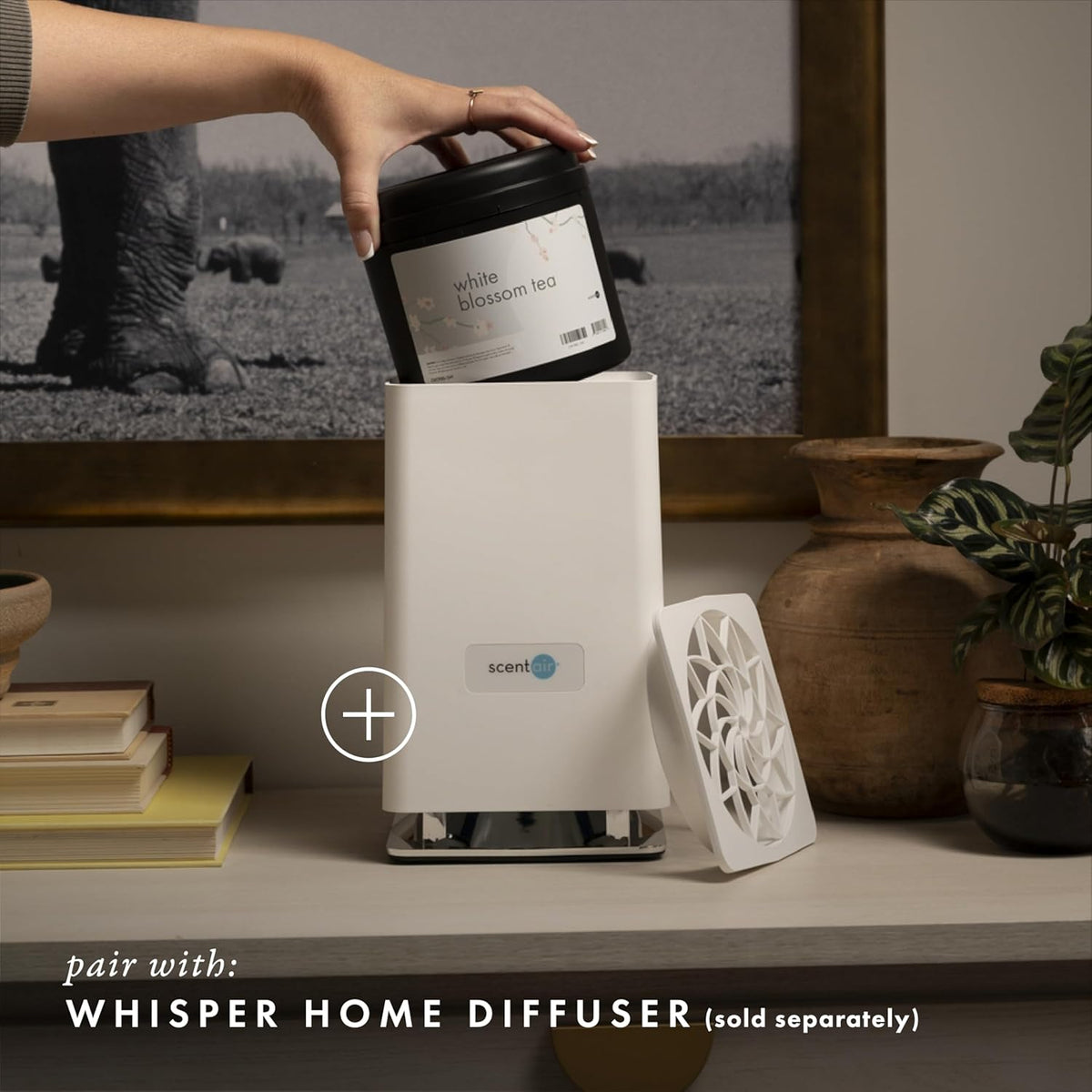 ScentAir Whisper Home Monthly Plug-in Refill, Fragrance Cartridge for Home and Office, White Blossom Tea